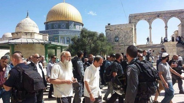 alaqsaa2017.8.7