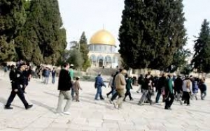 alaqsa24-6